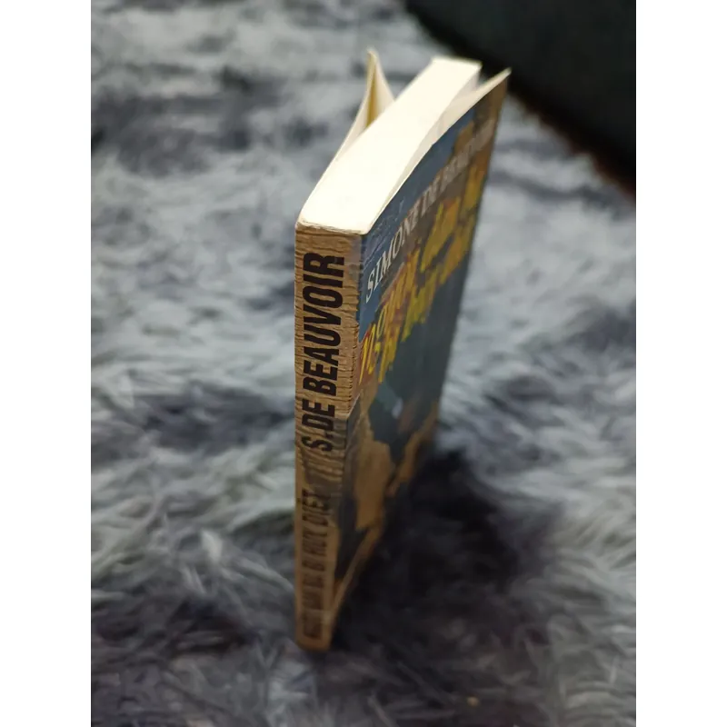 Người đàn bà bị hủy diệt (Simone De Beauvoir) 693345