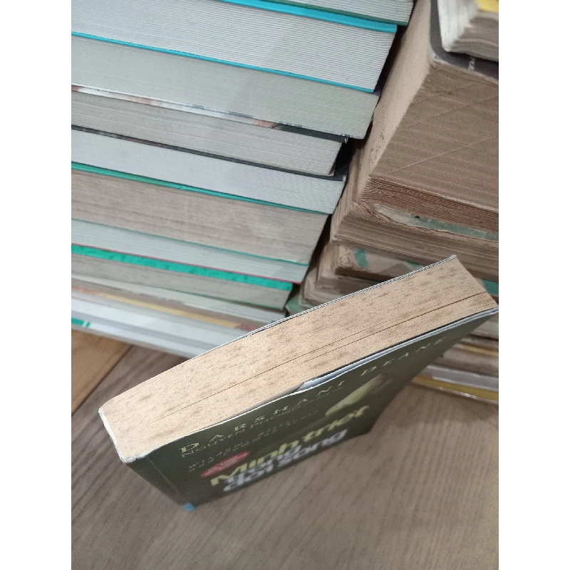 Minh triết trong đời sống - Darshani Deane 124564