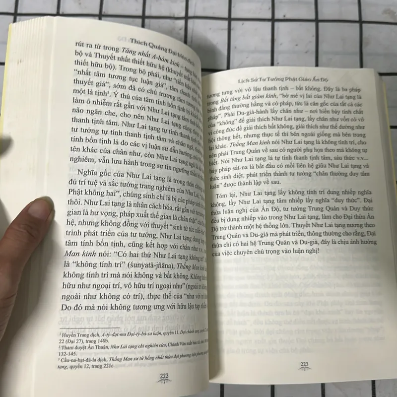 Lịch sư tử tượng Phật giáo Ấn Độ 699106