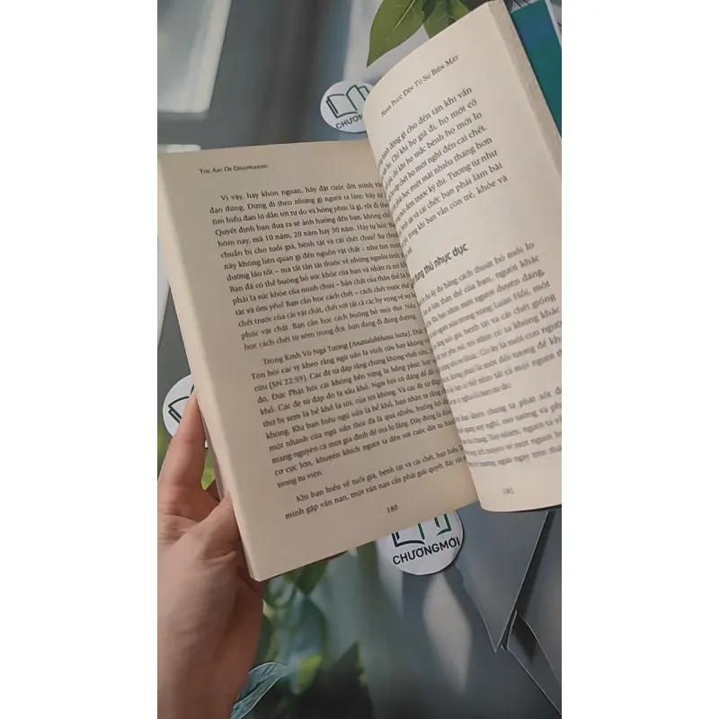 Hạnh Phúc Đến Từ Sự Biến Mất - Ajahn Brahm 961190