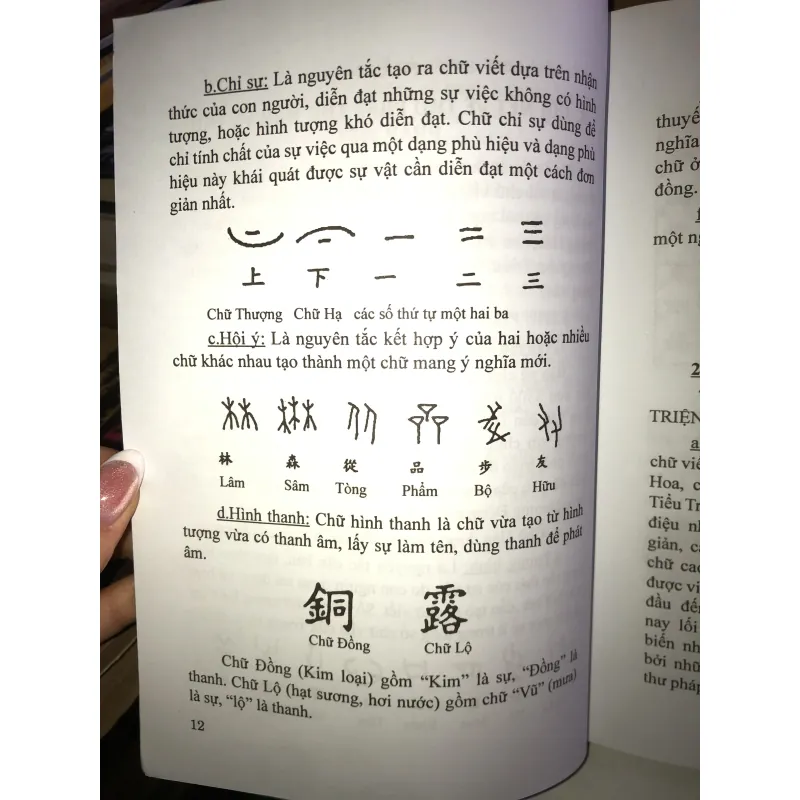 Thư pháp Việt - Lý thuyết và thực hành - Đăng Học 1001710