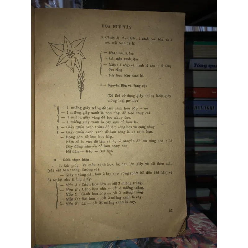 Thực hành hoa trang trí - Triệu Thị Chơi  976375