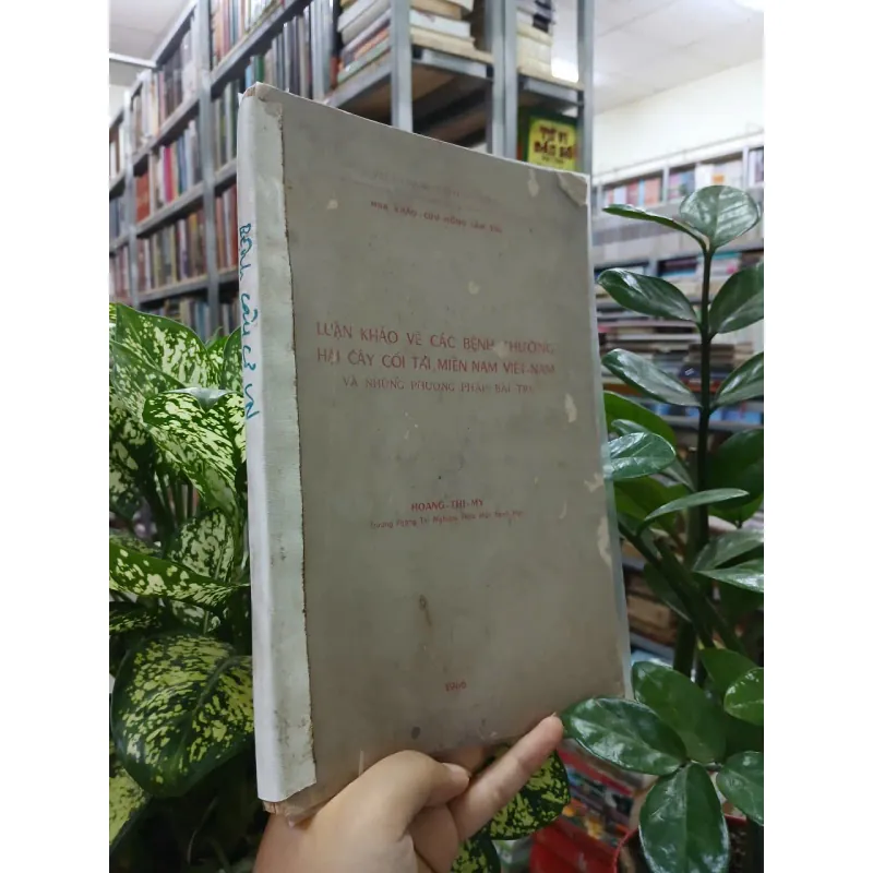 LUẬN KHẢO VỀ CÁC BỆNH THƯỜNG HẠI CÂY CỐI TẠI MIỀN NAM VIỆT NAM 688029