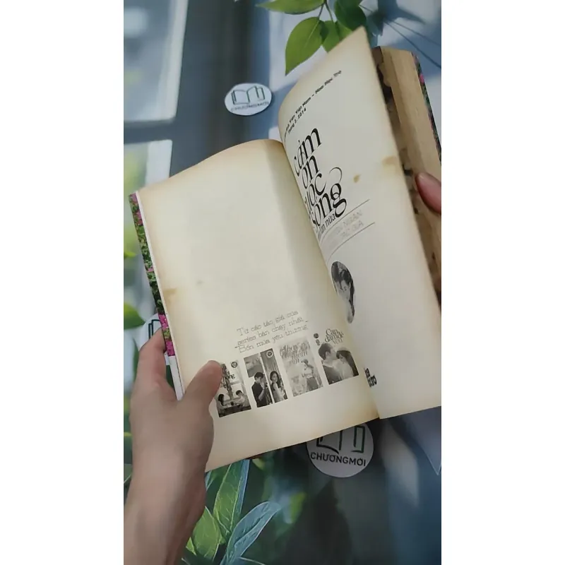 Cảm Ơn Cuộc Sống Một Lần Nữa 1018888