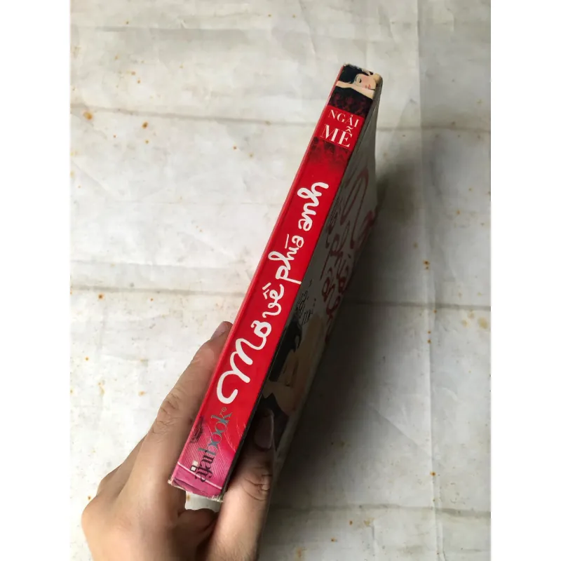 Mơ Về Phía Anh - Ngải Mễ 735806