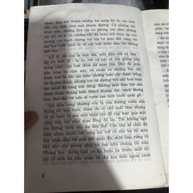 Tiểu thuyết Rebecca 990607