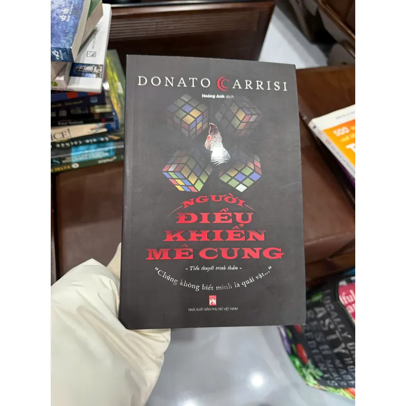 NGƯỜI ĐIỀU KHIỂN MÊ CUNG – DONATO CARRISI | TIỂU THUYẾT TRINH THÁM TÂM LÝ HẤP DẪN 1011310