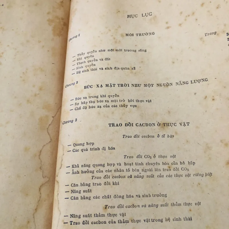 SINH THÁI HỌC THỰC VẬT 956979