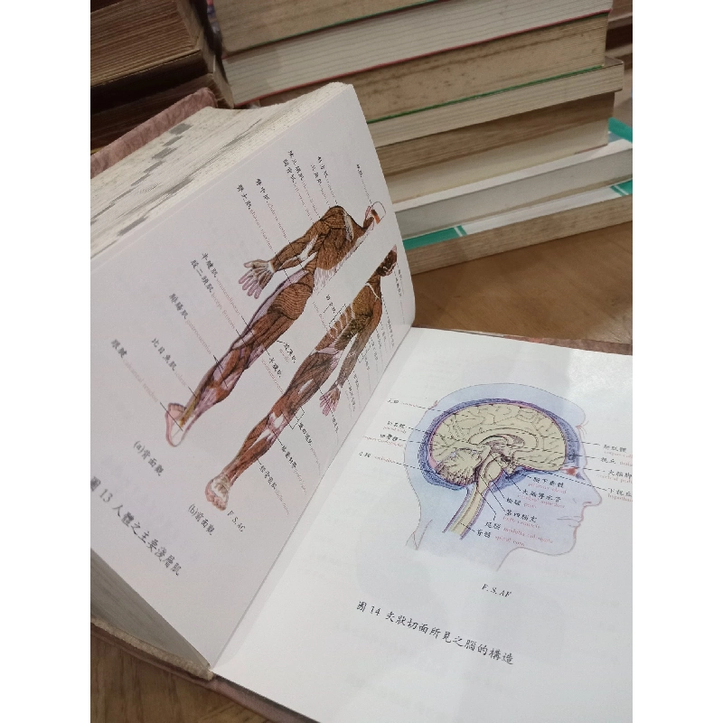 New English-Chinese Medical Dictionary 762376