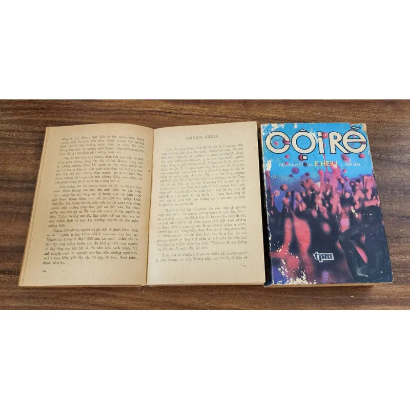 Tác phẩm văn học kinh điển của nhà văn Alex Hailey: CỘI RỄ 726027