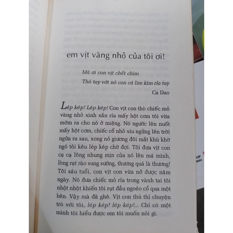 EM ĐIÊN XOÃ TÓC - KIỆT TẤN  530381