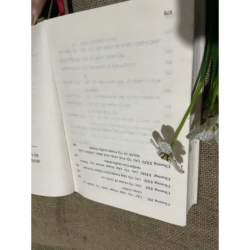 Bình luận khoa học Bộ luật hình sự 1999 (Phần các tội phạm, 800 trang  797705