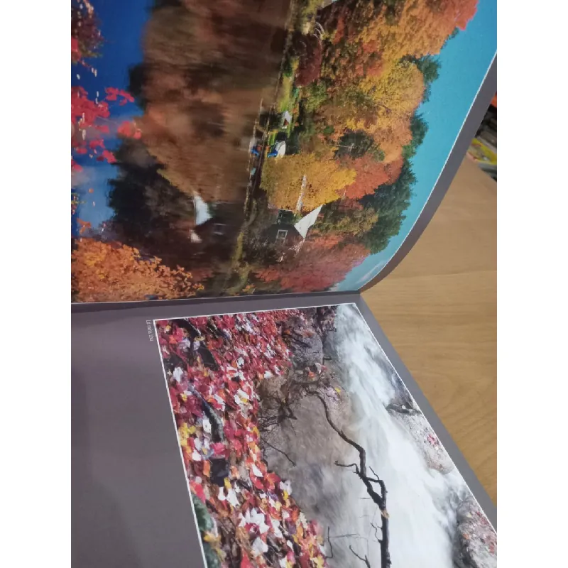 Di sản và thắng cảnh của Hoa Kỳ & Việt Nam 574082