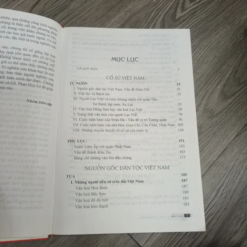 Lịch Sử Cỏi Đại Việt Nam - Đào Duy Anh 1020059