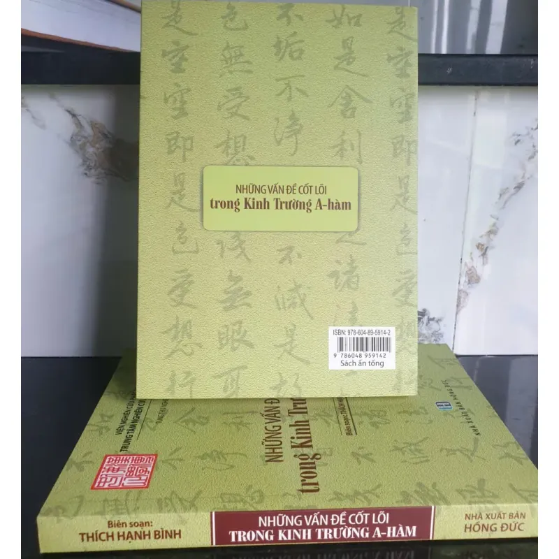 Sách nghiên cứu Phật học Những vấn đề cốt lõi trong Kinh Trường A-hàm - Thích Hạnh Bình mới 90% 675456