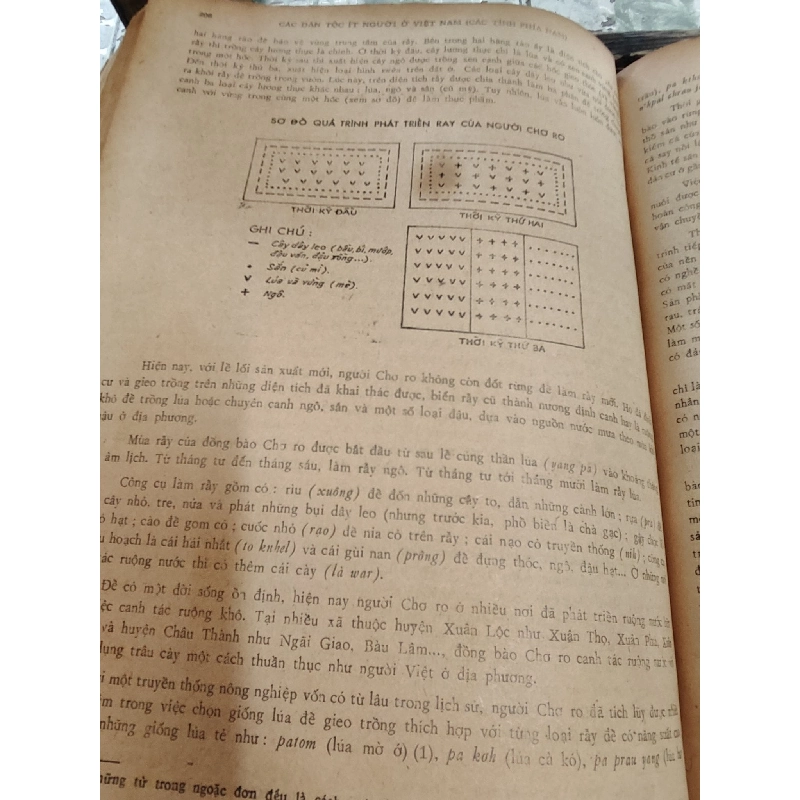 Các dân tộc ít người ở Việt Nam ( Các tỉnh phía Nam ) 1031844