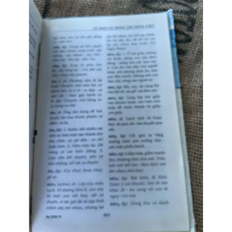 Từ điển từ đồng âm tiếng Việt - Nguyễn hữu Quýnh  1020237