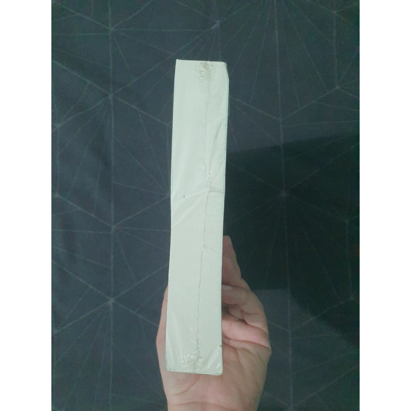 "Nơi nào phong cảnh như tranh" (seal, khổ to) - Lâm Địch Nhi 492808