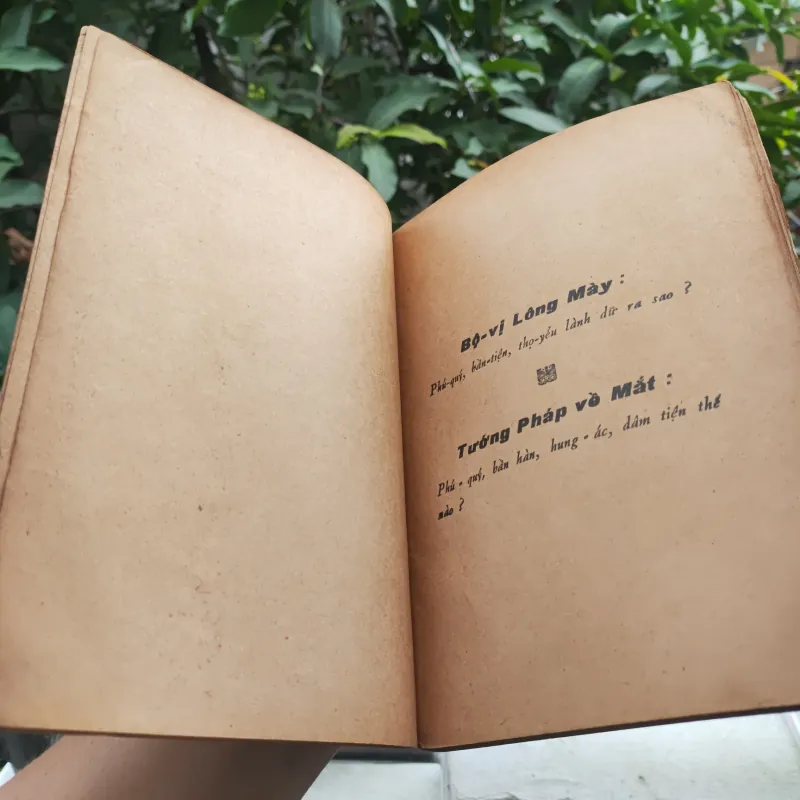 Tướng Pháp Áo Bí 928912