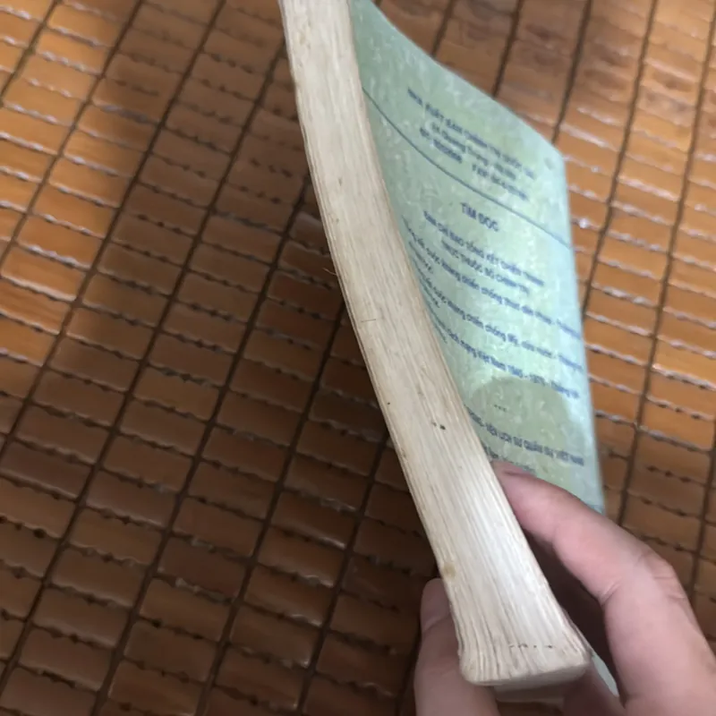 Tổng hành dinh trong mùa xuân toàn thắng - Võ Nguyên Giáp 568583