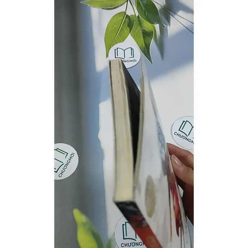 Truyện đôi Valentine 688705