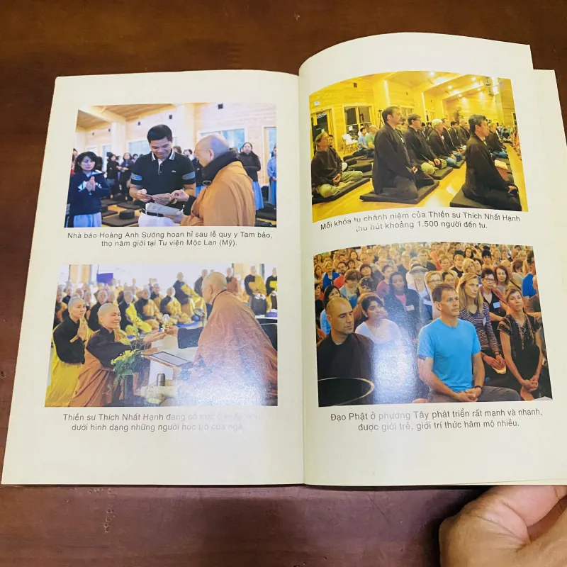 Hạnh phúc đích thực - Thích Nhất Hạnh  990600