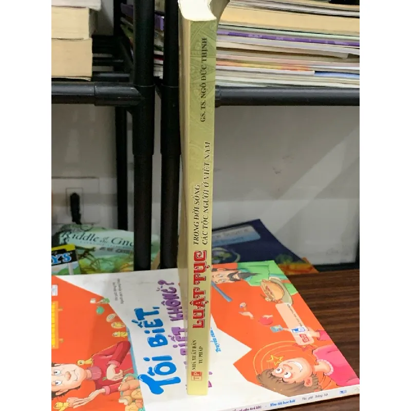 Luật tục trong đời sống các tộc người ở Việt Nam- GS.TS. Ngô Đức Thịnh 600853