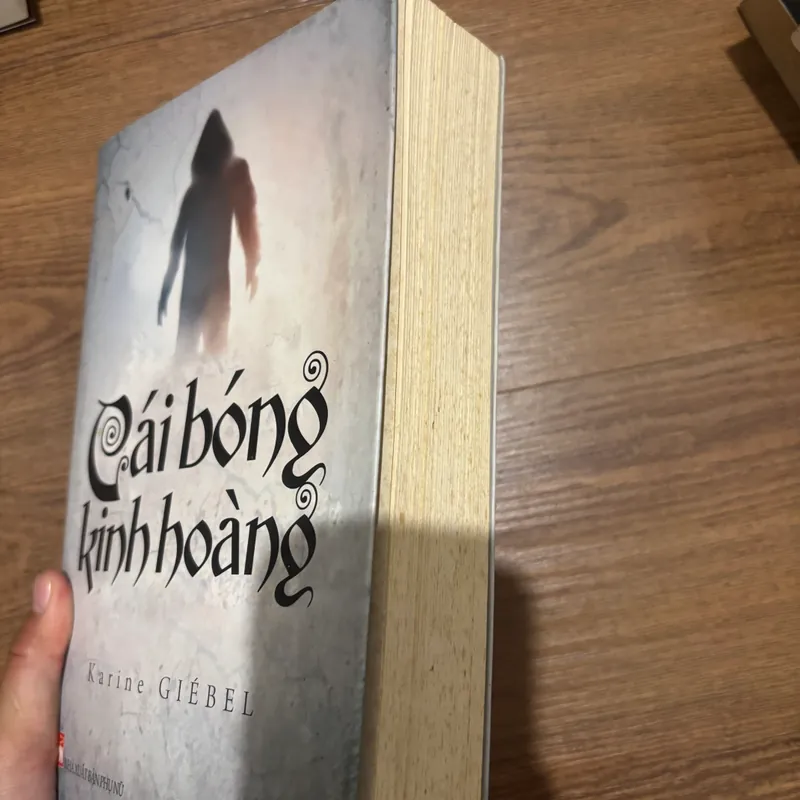 Cái bóng kinh hoàng - Karine Giebel 562517