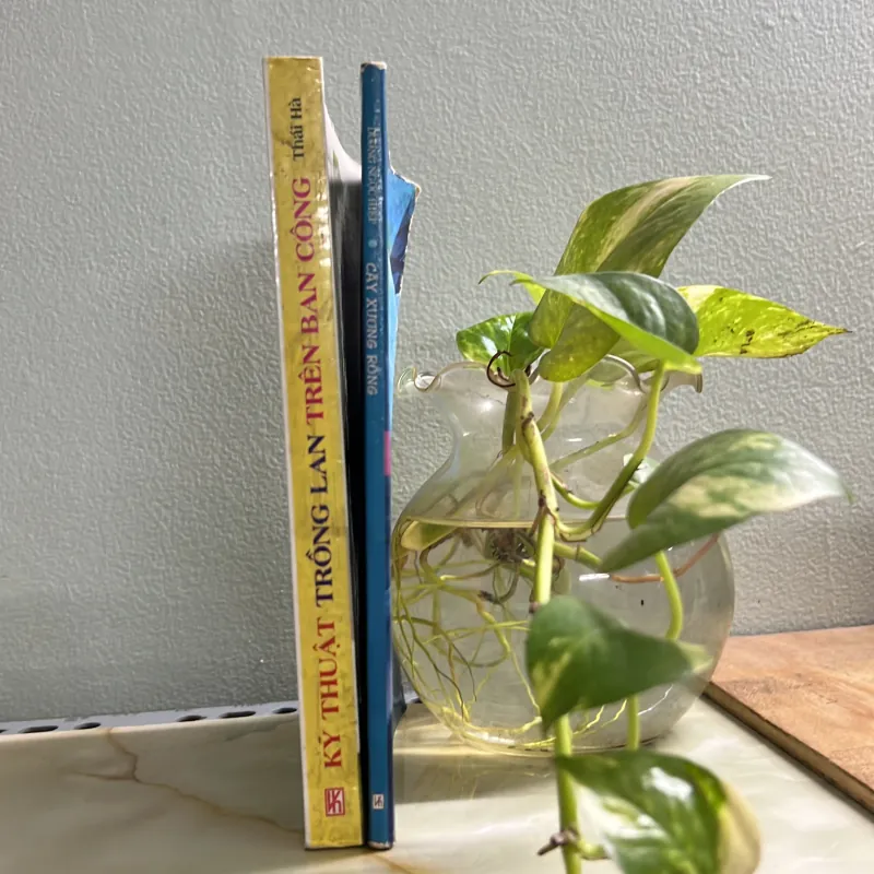 Combo kỹ thuật trồng lan - cây xương rồng 750748