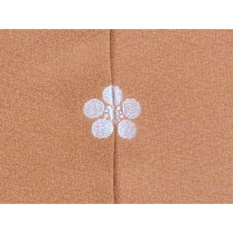 Màu trơn - Hàng hiệu Authentic 878086