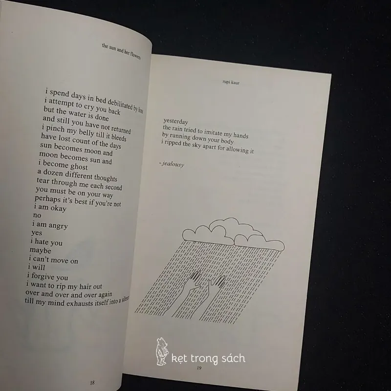 [Sách Cũ Ngoại Văn] The Sun And Her Flowers - Rupi Kaur 564212