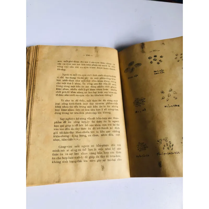  ZEN & DƯỠNG SINH – THÁI KHẮC LÊ (1965) 557937
