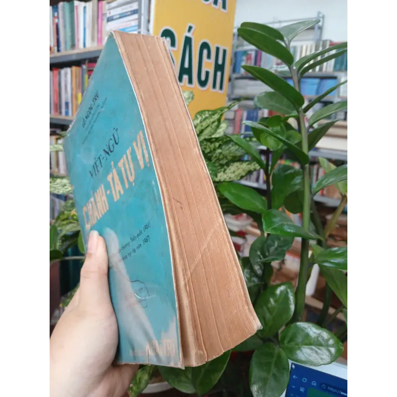 VIỆT NGỮ CHÁNH TẢ TỰ VỊ - LÊ NGỌC TRỤ 1046296