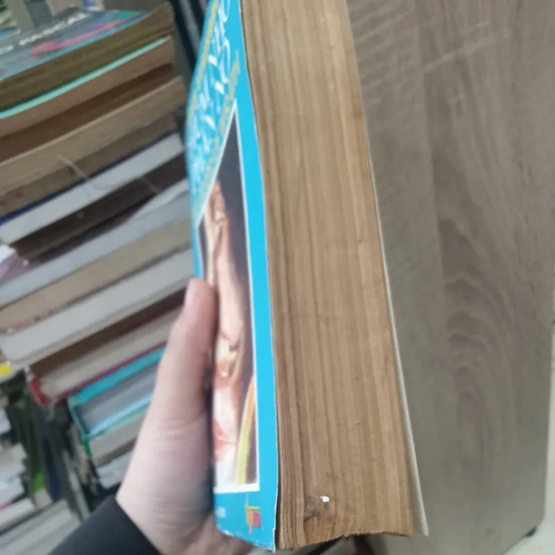 Chùm nho phẫn nộ tập 2 📚 783012