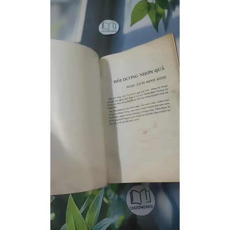 Hồi Dương Nhơn Quả 1018902