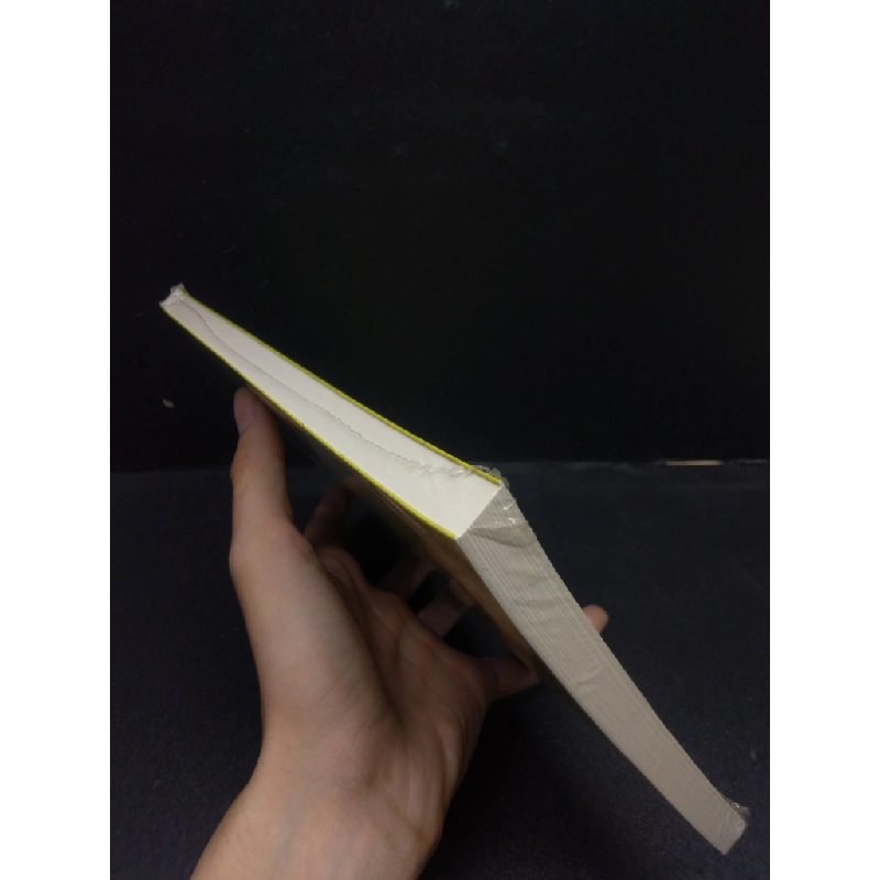 Trần Quốc Tuấn (Tiểu Thuyết lịch sử) Trần Thanh Nam mới 95% HCM.ASB1003 448481
