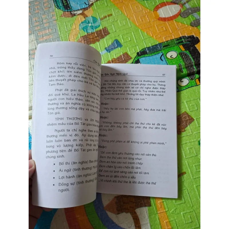 Căn Bản Luật Nhân Quả 796169