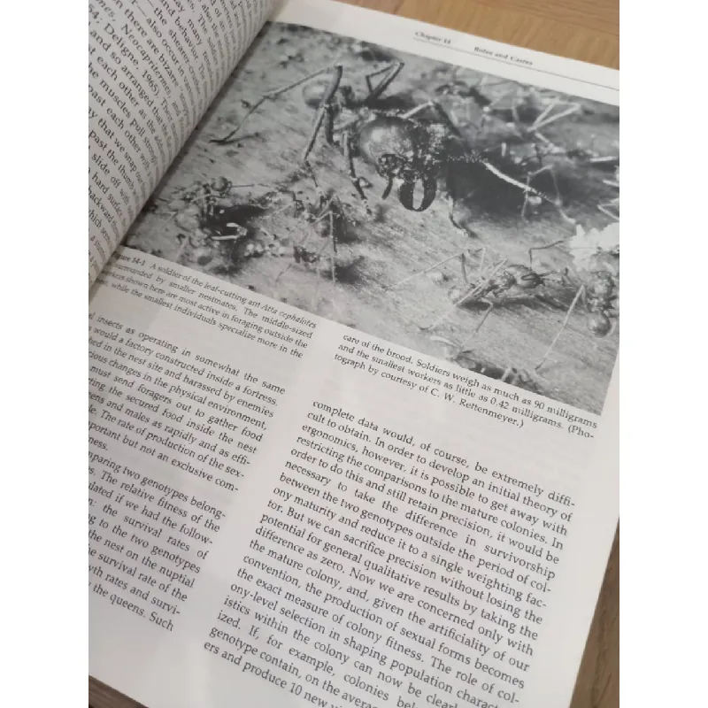 Sociobiology - Edward O. Wilson 565048