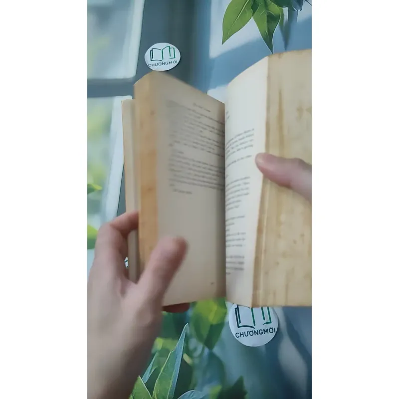 My Sister's Keeper - Jodi Picoult 1027518