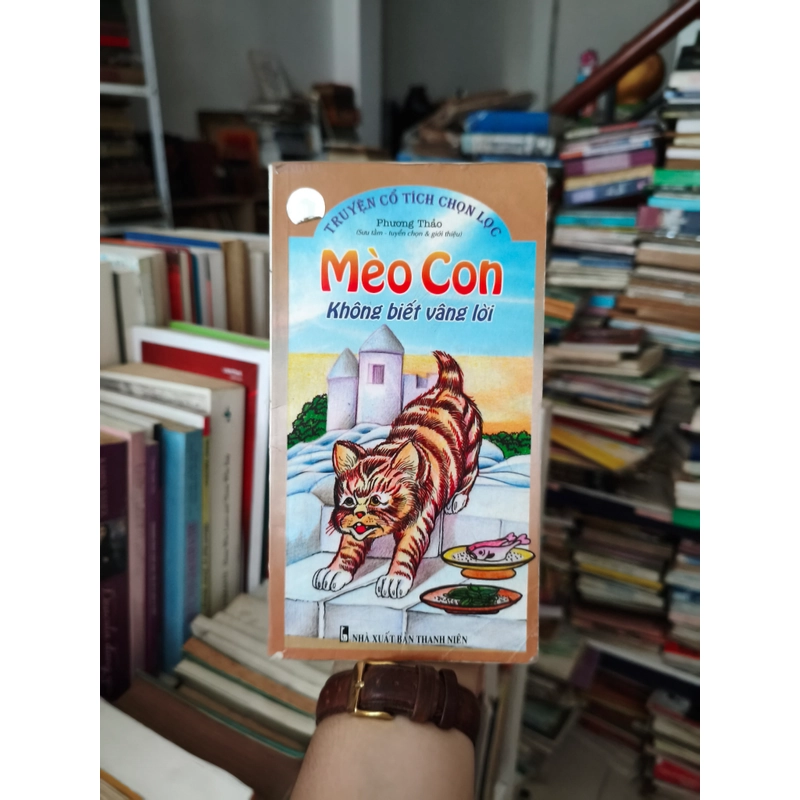 Mèo con không biết vâng lời 🌱 444724