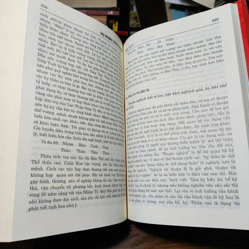 Dự Đoán Theo Tứ Trụ - Thiệu Vĩ Hoa  1021247