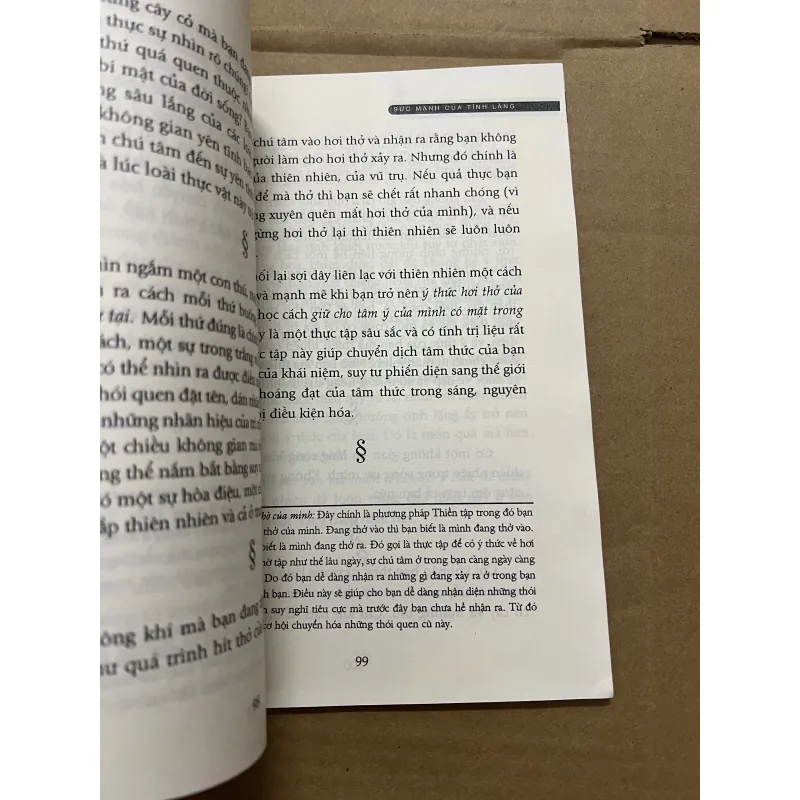 Sức Mạnh Của Tĩnh Lặng 751115