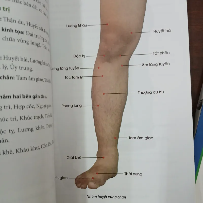 DƯỠNG SINH, XOA BÓP, Y HỌC CỔ TRUYỀN - NGUYỄN MẠNH TRÍ 972786