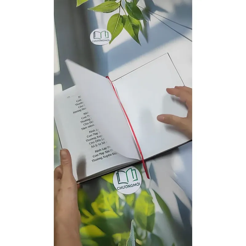 Đại Thừa Vô Lượng Thọ Trang Nghiêm Thanh Tịnh Bình Đẳng Giác Kinh - HT. Thích Đức Niệm 750812