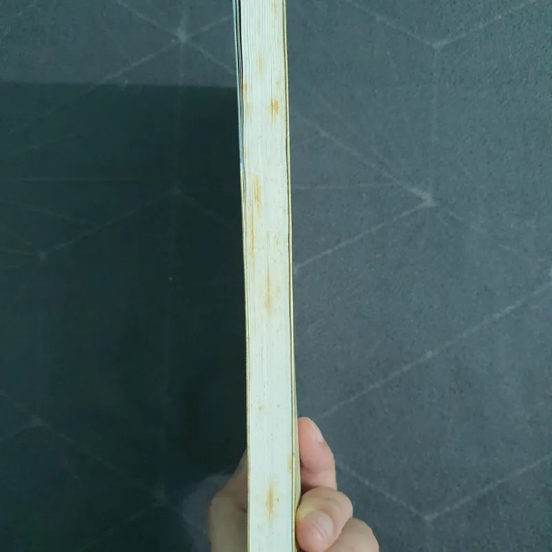 "Nhật ký" - Nicholas Spark 498950