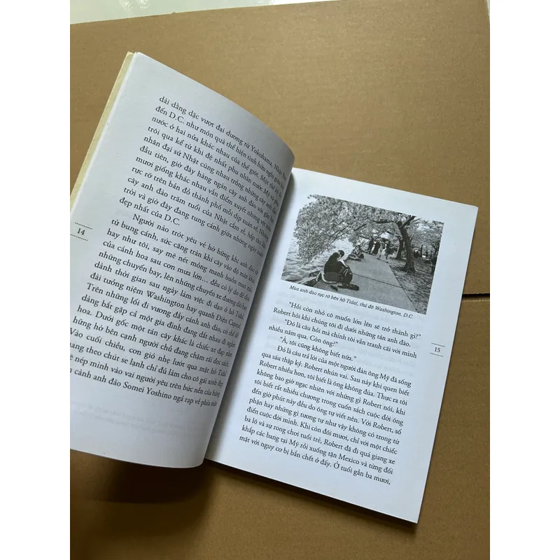 Quá trẻ để chết, hành trình nước Mỹ - Đinh Hằng 733651