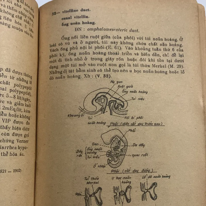 Từ điển bệnh học, Trần Phương Hạnh 709194