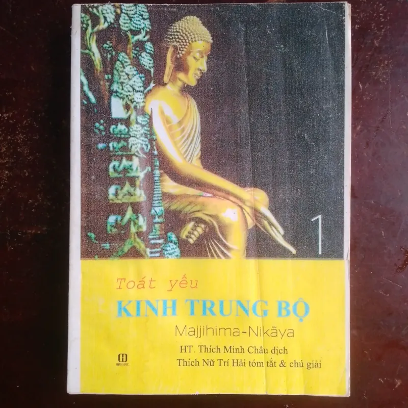 Toát yếu Kinh trung bộ 746154