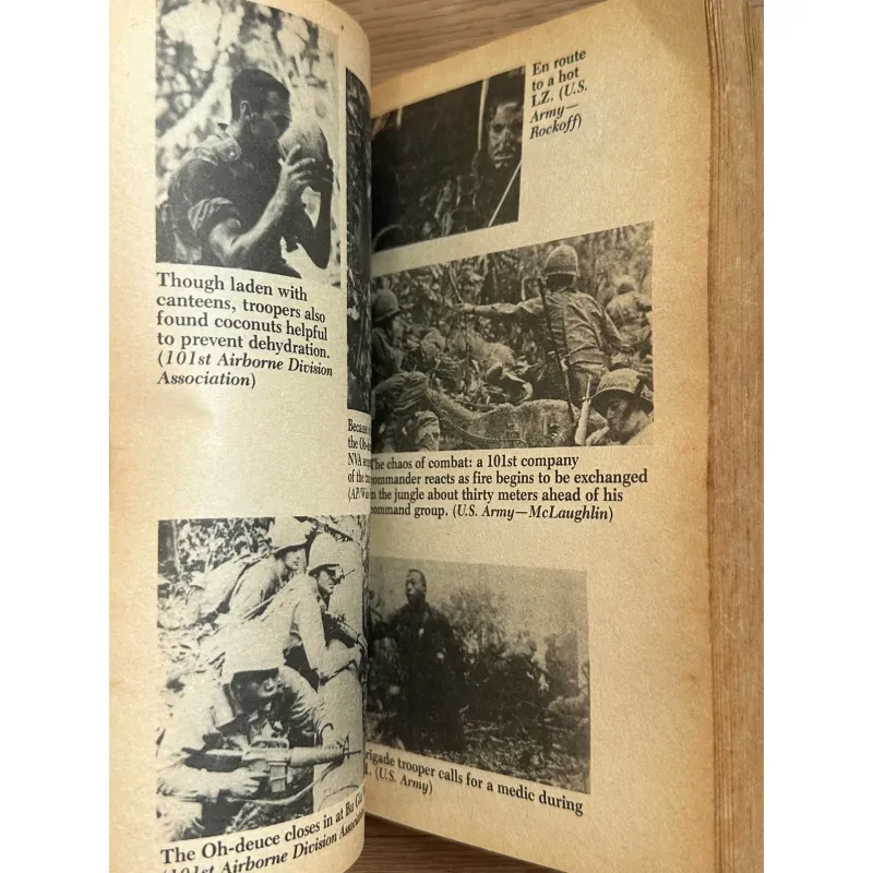 Where the Orange Blooms - Thomas Taylor 785145