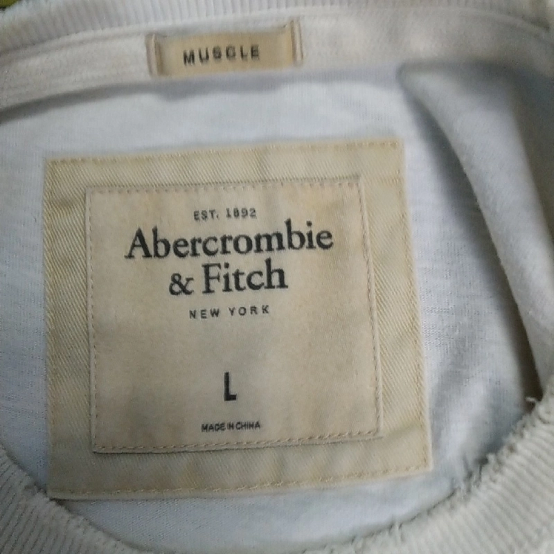 Áo thun Abercrombie Fitch  479232